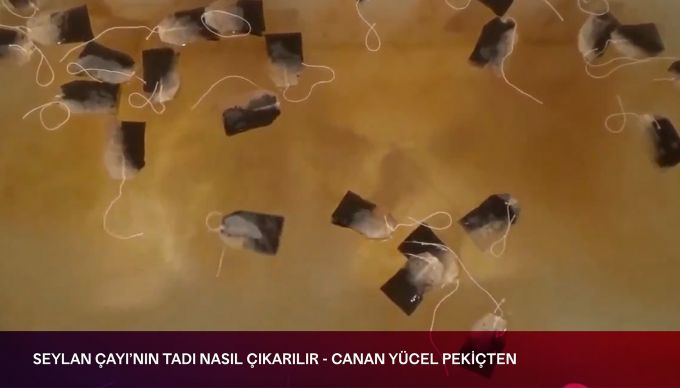 Sanatlar Neler Yapyor?