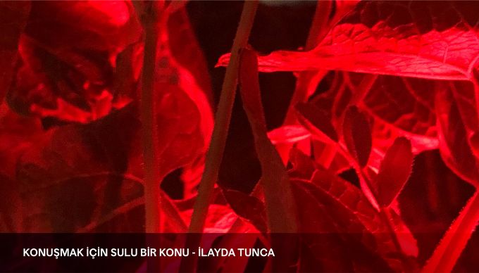 Sanatlar Neler Yapyor?